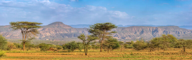 Atemberaubende afrikanische Savanne mit Akazienbäumen und Bergblick.