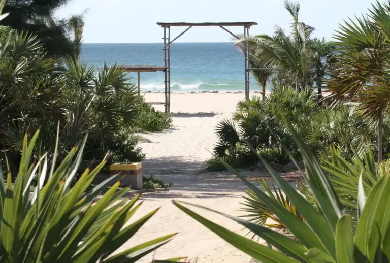 Schöne Afrika-Strandlandschaft mit Palmen, Strand und Meer, ideal für Urlaubsreisen.