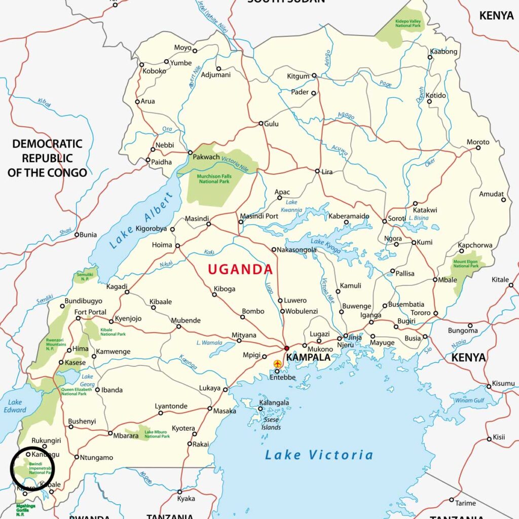 Bwindi Nationalpark