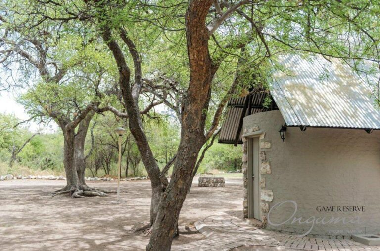 Naturreservat in Namibia, afrikanische Tierwelt, Lodges in der Wildnis.