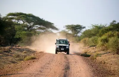 Erlebnisreiche Safari im afrikanischen Busch mit Geländewagen.