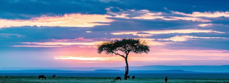Masai Mara Sundowner