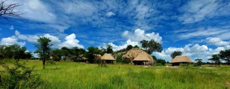 Hütten im afrikanischen Busch, grüne Savanne unter blauem Himmel, Safari, Natur, Afrika.