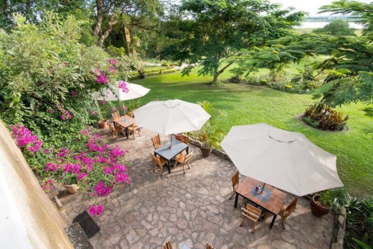 Bunt blühende asiatische Trompetenbaum-Bromelien blühen im Garten in Afrika.