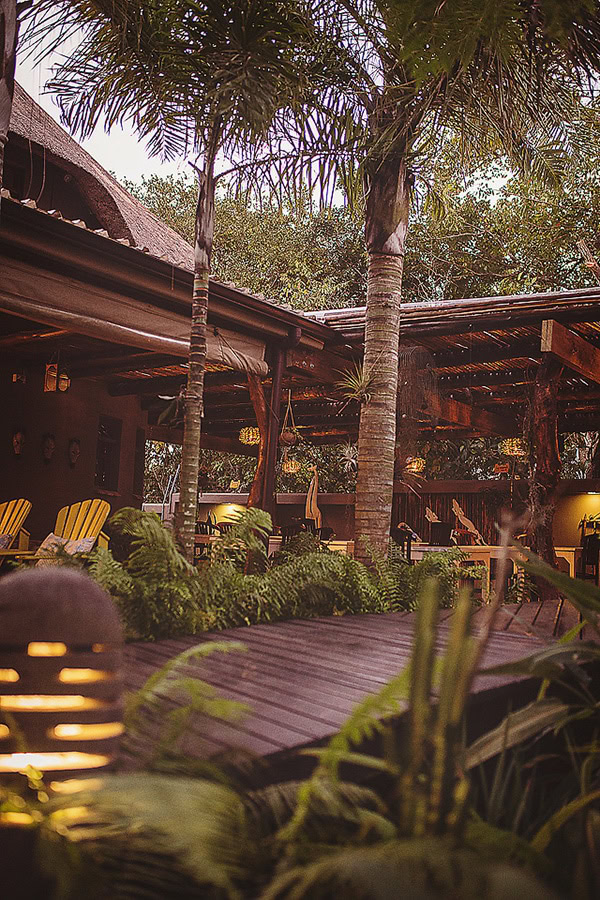 Entspannte afrikanische Dschungellandschaft mit Holzboden, Palmen und tropischer Vegetation.