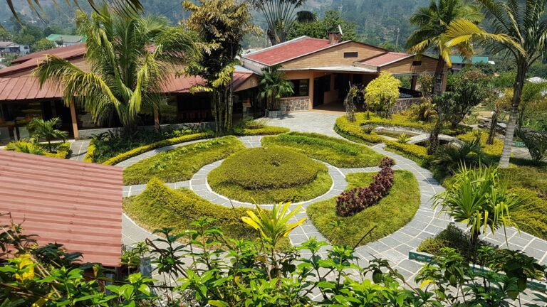 Garten mit Palmen und Blumen in Afrika, tropisches Flair.