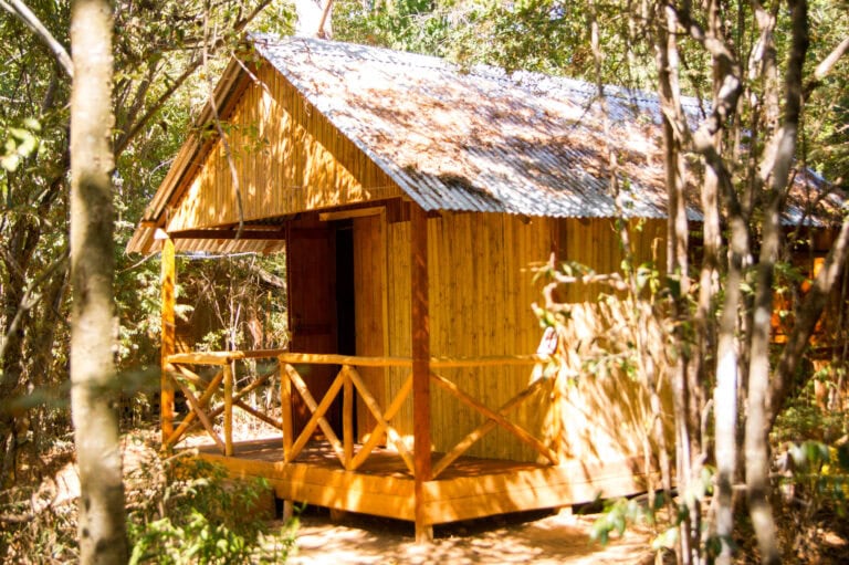 Hütten im Busch in Tansania, idyllisches nachhaltiges Safari-Lodge, umgeben von afrikanischen Wäldern.