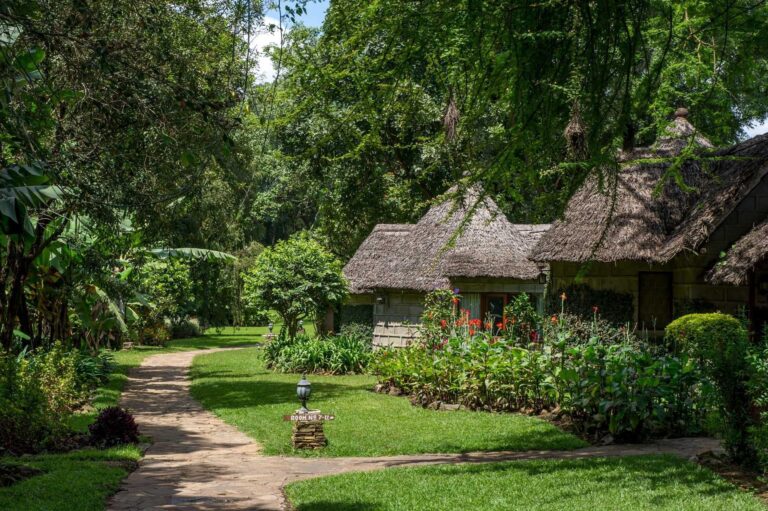 Alttext: Malerisches afrikanisches Haus mit Thatagdach im üppigen Garten, umgeben von tropischer Vegetation.