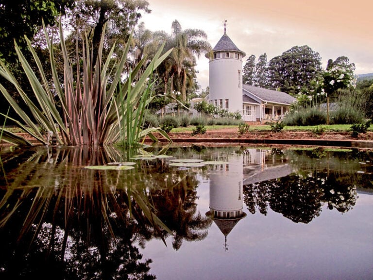 Schloss am See in Afrika, umgeben von Palmen und Wasser, idyllische Natur.