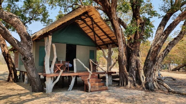 Hüttenunterkunft inmitten afrikanischer Natur, perfekte Unterkunft für Safari-Reisen in Afrika.