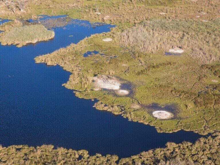 Spektakuläre Wasserfälle im afrikanischen Dschungel, UNESCO Weltkulturerbe.