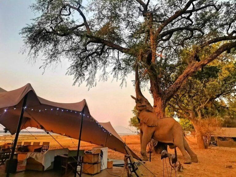 Elegantes Safari-Zelt in afrikanischer Natur, umgeben von wild lebenden Tieren, ideal für Afrika Reisen.