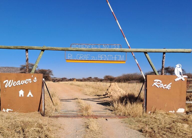 Gemütlicher Campingplatz in Afrika mit Tierbeobachtungen.