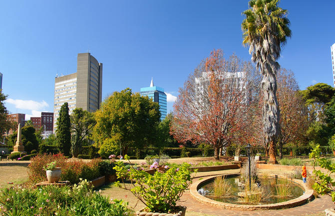 Blumen im Stadtpark mit Hochhäusern im Hintergrund, afrikanische Reiseziele, urbaner Park, Natur und.