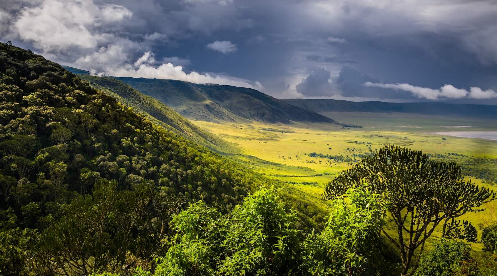 Regenzeit Afrika3