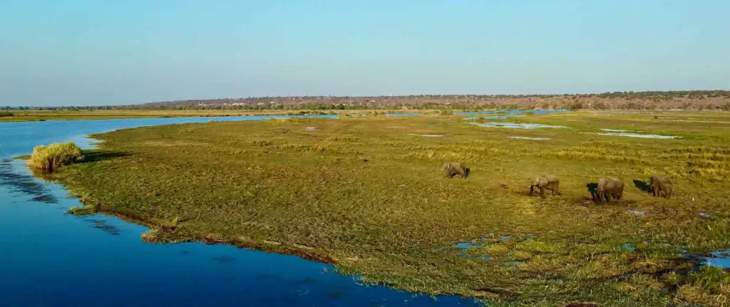 Affen und Wasser in der Wildnis, Natur Afrikas.