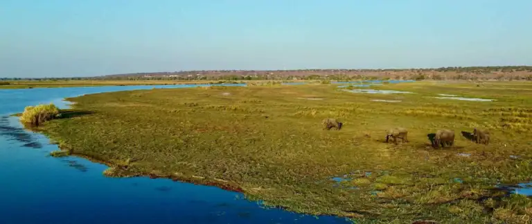 Affen und Wasser in der Wildnis, Natur Afrikas.