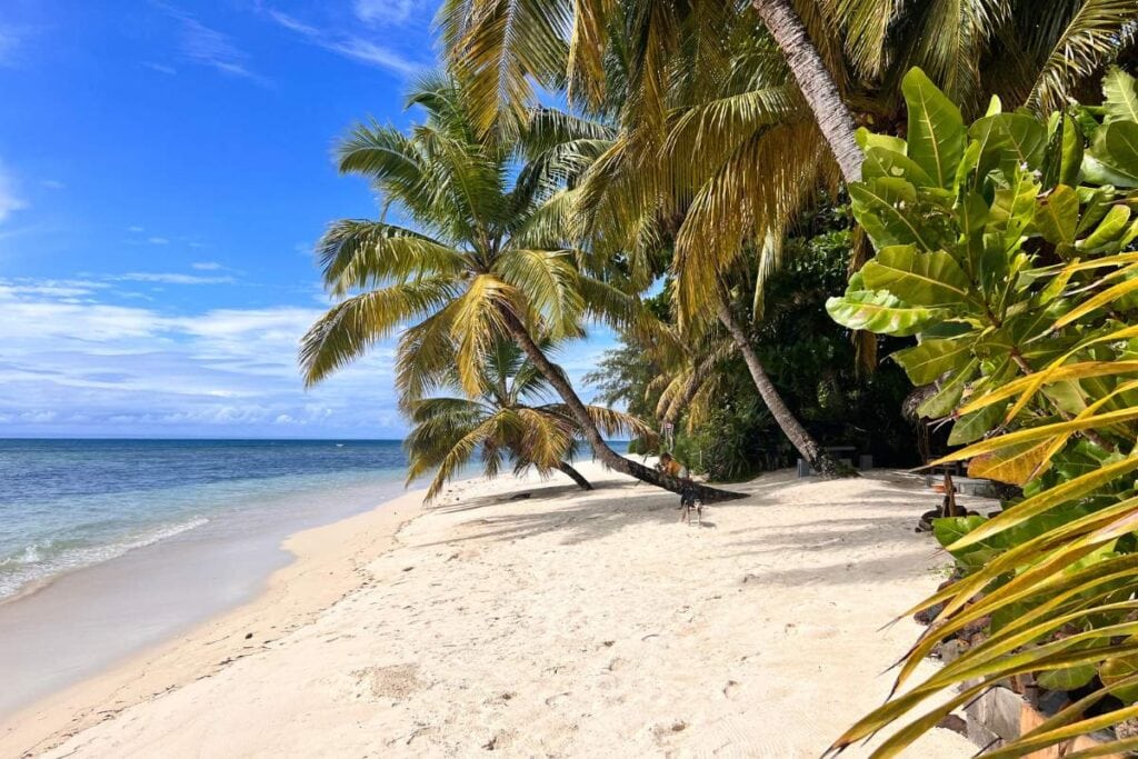 Idyllischer Sandstrand mit Palme, blauer Himmel und Meer in Afrika.