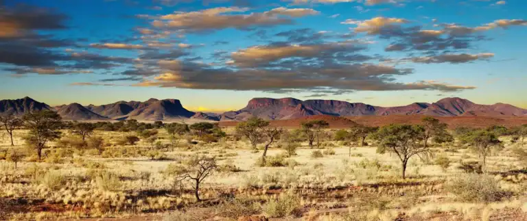 Auffällige Natur, Safari-Region in Namibia, afrikanische Tierwelt, Wüstenlandschaft, Reisen Afrika.