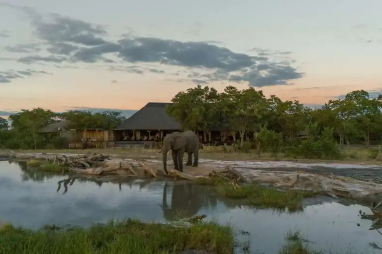 Elefanten am Fluss bei Sonnenuntergang.