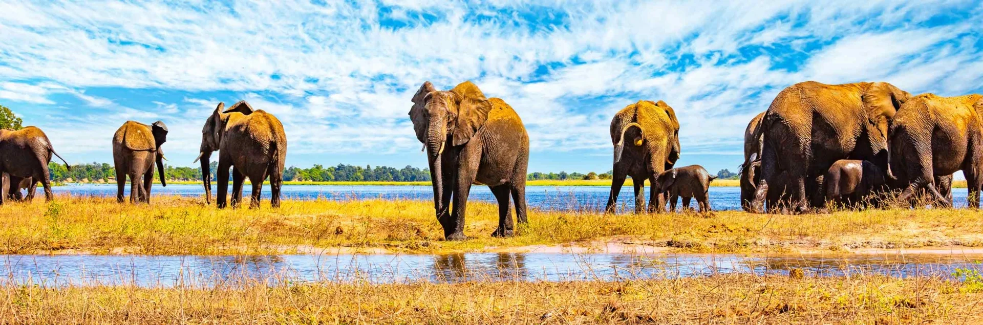 Botswana Reise planen mit African Dreamtravel