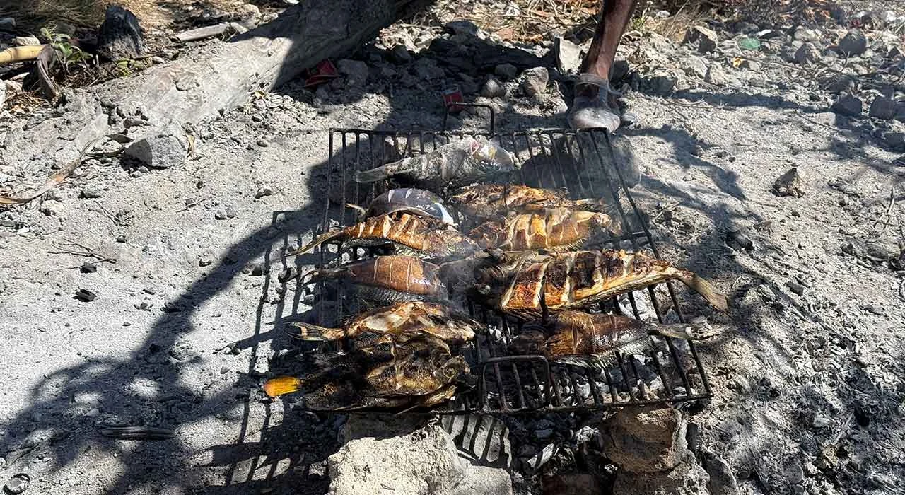 gegrillter Fisch beim Ausflug zum Emerald Sea