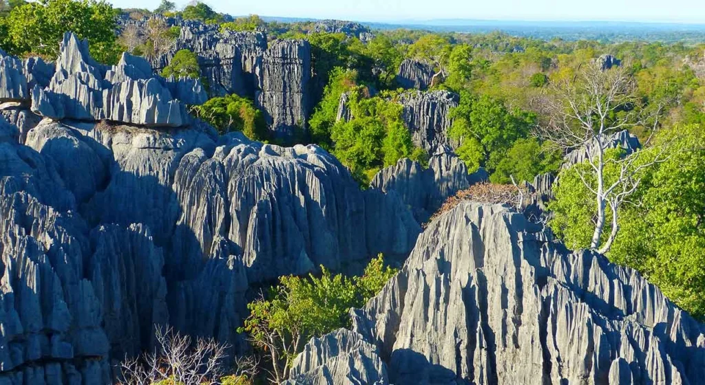 Die Grauen Tsingys im Ankarana NP
