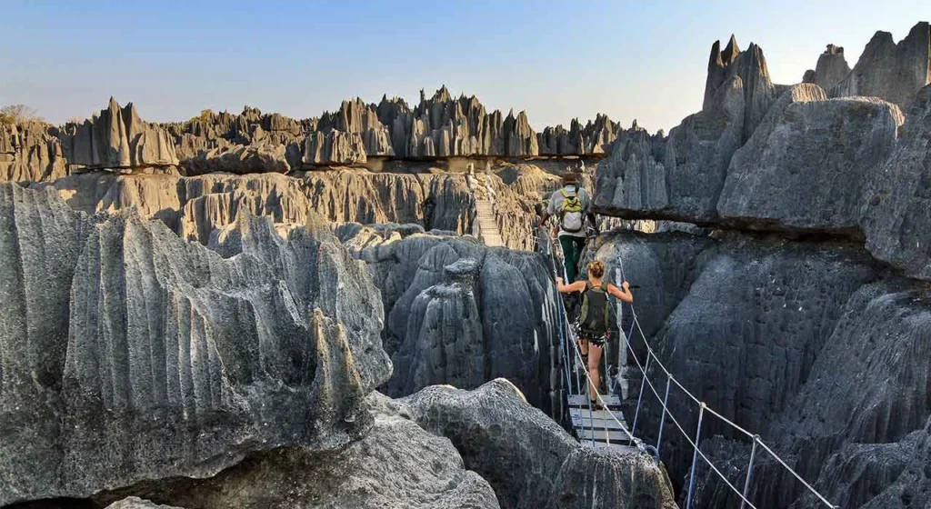 Die Grauen Tsingys im Ankarana NP
