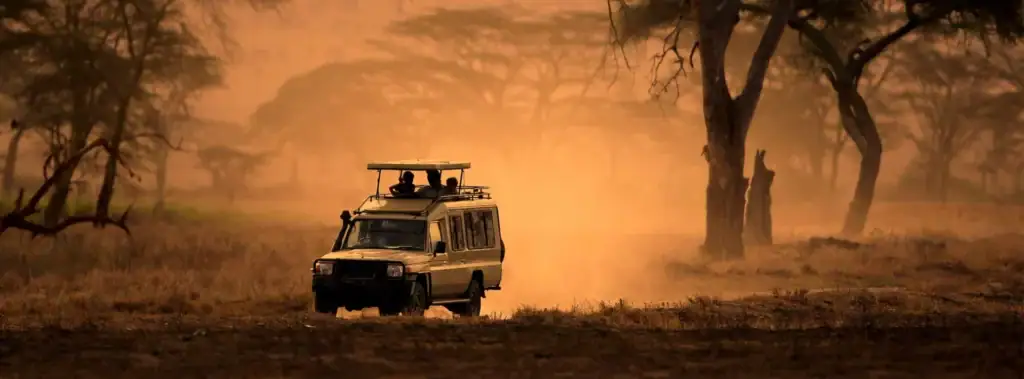 12 Tage Kleingruppenreise Tansania - Safari Highlights & Sansibar