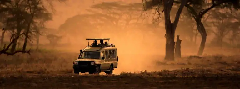 12 Tage Kleingruppenreise Tansania - Safari Highlights & Sansibar