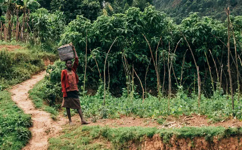 Träger in afrikanischer Landschaft mit grünen Pflanzen und Weg.