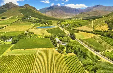 Landschaft mit Weinbergen in Südafrika, ideal für Weintouren und Afrikareisen.