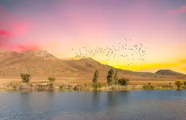 Malerischer Fluss in Afrika bei Sonnenuntergang, Vögel fliegen, afrikanische Landschaft.