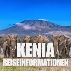 Eine Elefantenherde steht auf einer Grasebene mit einem Berg im Hintergrund. Großer weißer Text in deutscher Sprache lautet: KENIA REISEINFORMATIONEN.