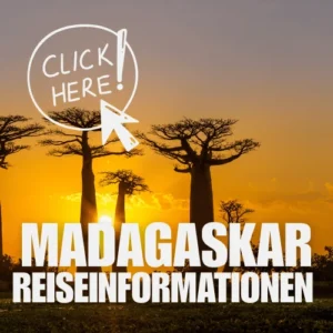 Affenbrotbäume in Madagaskar bei Sonnenuntergang, fetter weißer Text mit der Aufschrift 