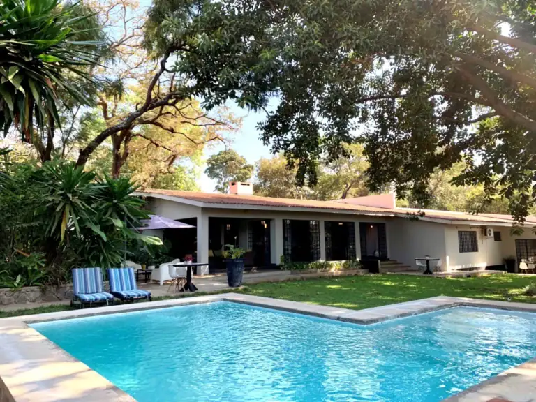 Alt-Text: Pool und Terrasse eines afrikanischen Hotels mit üppiger Vegetation im Hintergrund.