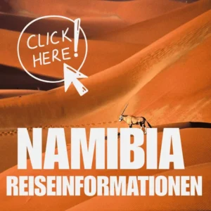 Eine einsame Oryxantilope läuft über orangefarbene Sanddünen. Der weiße Text lautet Namibia Reiseinformationen-inklusive Flugsafaris durch Namibia-mit einer Click here!-Schaltfläche oben links.