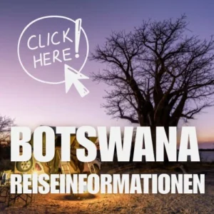 Großer Text "Botswana Reiseinformationen" über einer Sonnenuntergangsszene mit einem Affenbrotbaum und einem Campingwagen. Oben links weist ein handgezeichneter Pfeil auf die Worte Click Here! in einem Kreis.