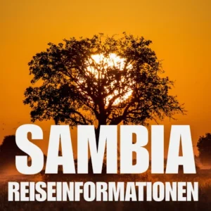 Ein Baum vor einem orangefarbenen Sonnenuntergang mit dem Text SAMBA REISEINFORMATIONEN in fetten weißen Buchstaben davor.