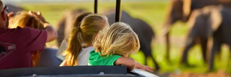 Kinder genießen Tierbeobachtung im offenen Geländewagen, Afrikas Tierwelt und Natur hautnah erleben.