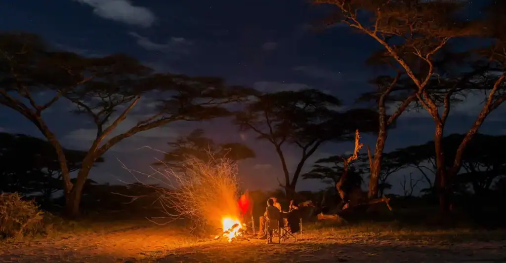 Ein nächtliches Campsite in Afrika, mit Feuer, Menschen, die den Sternenhimmel und die Tierwelt bei einer Safari genießen. Perfekt für Safari- und Naturreisen in Afrika.