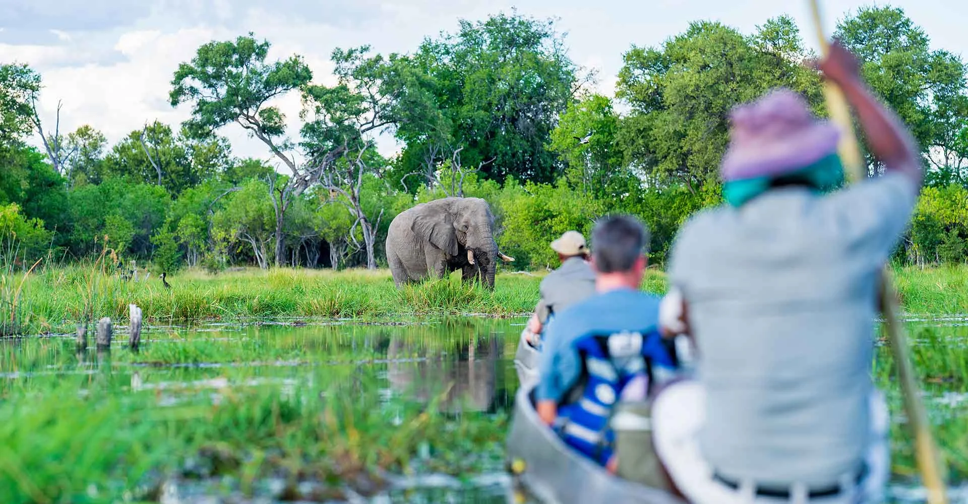 Buntes Afrika-Safari mit Elefanten im Fluss, Touristen in Booten, üppige Natur, exotische Tiere.