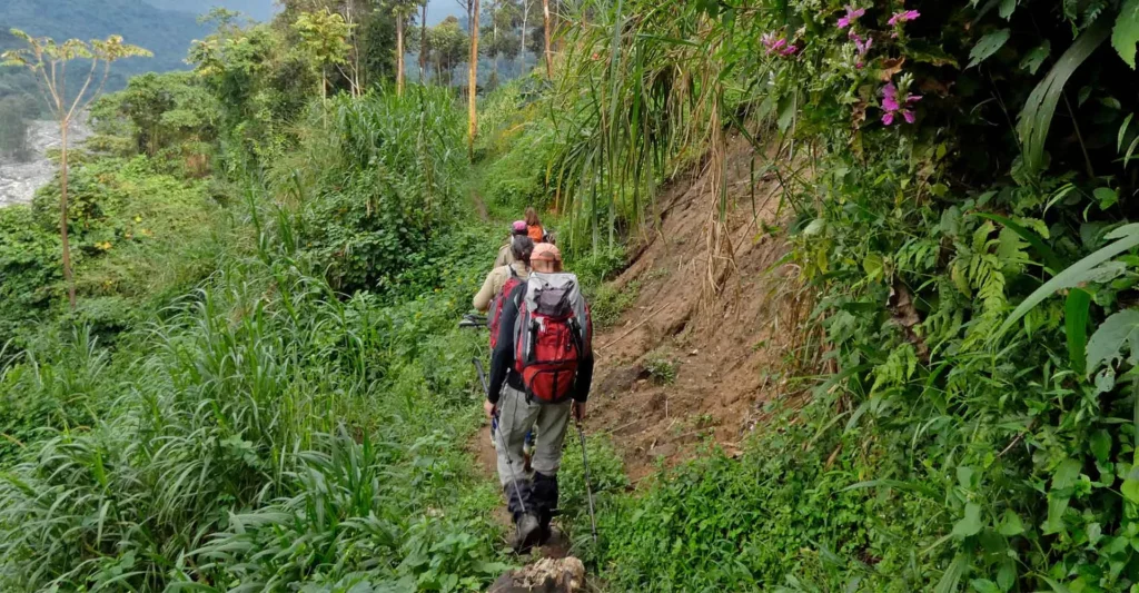 Abenteurer beim Trekking in afrikanischer Natur, Dschungel, Regenwald, Safari, Afrika-Reise.