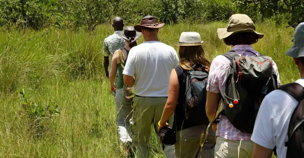 Wandergruppe auf Safari in Afrika, erkundet die Tierwelt und Natur, ideal für Afrikareisen und Safar.