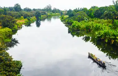 Flusslandschaft in Madagaskar mit üppiger Vegetation, ideal für Afrika-Reisen.