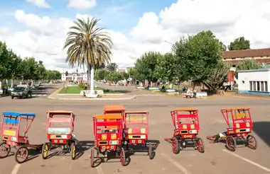 Stadtbild in Madagaskar mit Rikschas, Palmen und Bäumen, typisch für eine Reise durch Madagaskar.