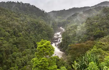 Regenwald in Madagaskar mit Wasserfall und üppiger Vegetation.