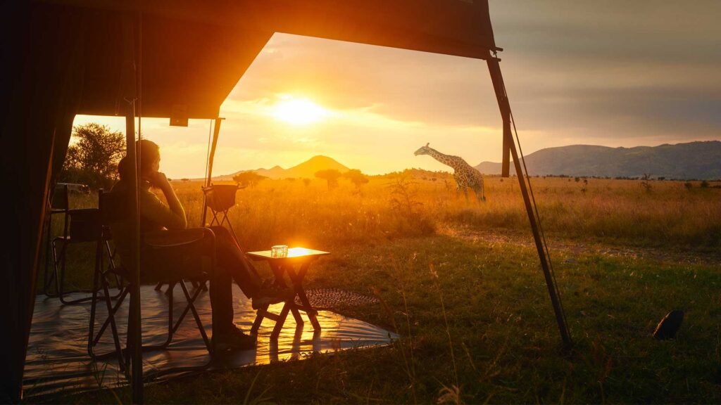 Safari bei Sonnenuntergang mit Giraffe in afrikanischer Savanne.