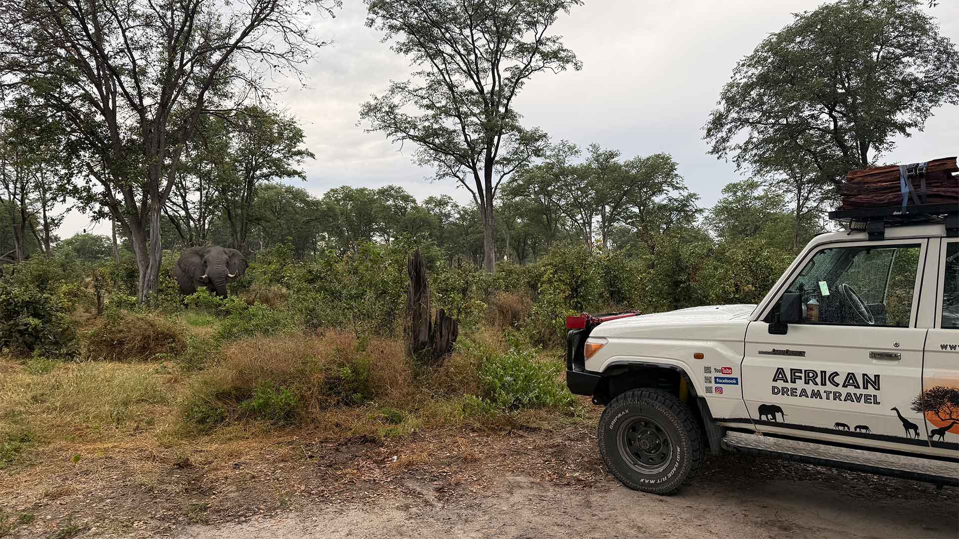 elefant mit landcruiser
