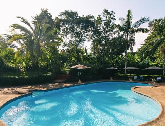 Pool im tropischen Garten mit Palmen und Natur in Afrika.